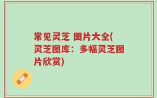 常见灵芝 图片大全(灵芝图库：多幅灵芝图片欣赏)
