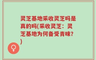 灵芝基地采收灵芝吗是真的吗(采收灵芝：灵芝基地为何备受青睐？)