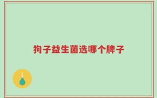 狗子益生菌选哪个牌子