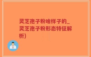 灵芝孢子粉啥样子的_灵芝孢子粉形态特征解析)