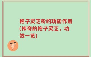 袍子灵芝粉的功能作用(神奇的袍子灵芝，功效一览)