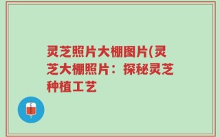 灵芝照片大棚图片(灵芝大棚照片：探秘灵芝种植工艺