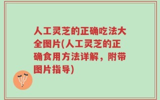 人工灵芝的正确吃法大全图片(人工灵芝的正确食用方法详解，附带图片指导)