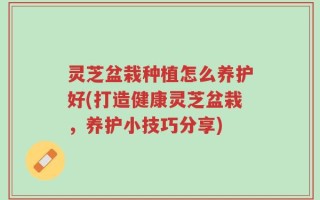 灵芝盆栽种植怎么养护好(打造健康灵芝盆栽，养护小技巧分享)