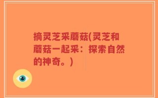 摘灵芝采蘑菇(灵芝和蘑菇一起采：探索自然的神奇。)