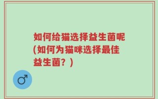 如何给猫选择益生菌呢(如何为猫咪选择最佳益生菌？)