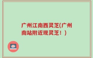 广州江南西灵芝(广州南站附近现灵芝！)