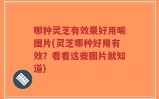 哪种灵芝有效果好用呢图片(灵芝哪种好用有效？看看这些图片就知道)