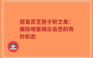 冠县灵芝孢子粉之美：细致观察揭示自然的奇妙形态