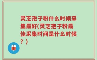 灵芝孢子粉什么时候采集最好(灵芝孢子粉最佳采集时间是什么时候？)