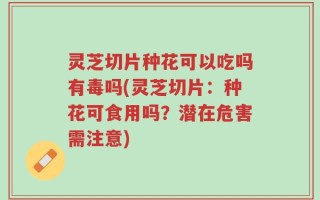 灵芝切片种花可以吃吗有毒吗(灵芝切片：种花可食用吗？潜在危害需注意)