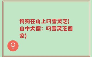 狗狗在山上叼雪灵芝(山中犬儒：叼雪灵芝回家)
