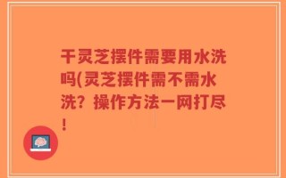 干灵芝摆件需要用水洗吗(灵芝摆件需不需水洗？操作方法一网打尽！