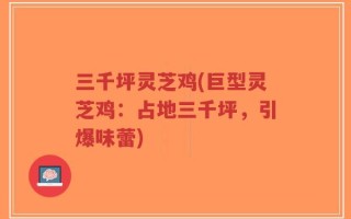 三千坪灵芝鸡(巨型灵芝鸡：占地三千坪，引爆味蕾)