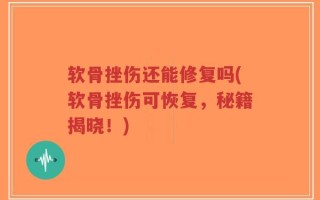软骨挫伤还能修复吗(软骨挫伤可恢复，秘籍揭晓！)