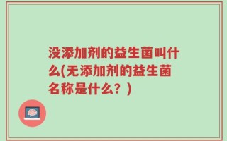 没添加剂的益生菌叫什么(无添加剂的益生菌名称是什么？)