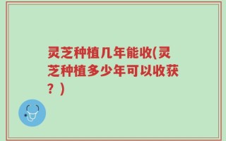 灵芝种植几年能收(灵芝种植多少年可以收获？)