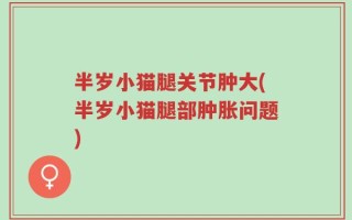 半岁小猫腿关节肿大(半岁小猫腿部肿胀问题)