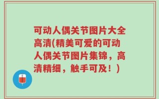 可动人偶关节图片大全高清(精美可爱的可动人偶关节图片集锦，高清精细，触手可及！)
