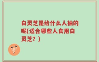 白灵芝是给什么人抽的呢(适合哪些人食用白灵芝？)