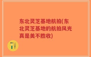 东北灵芝基地航拍(东北灵芝基地的航拍风光真是美不胜收)