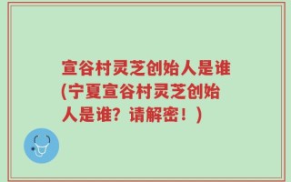宣谷村灵芝创始人是谁(宁夏宣谷村灵芝创始人是谁？请解密！)