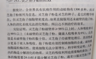 什么癌能吃灵芝孢子粉？能起到什么作用？