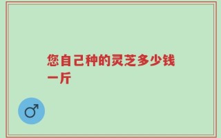 您自己种的灵芝多少钱一斤