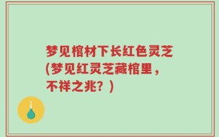 梦见棺材下长红色灵芝(梦见红灵芝藏棺里，不祥之兆？)