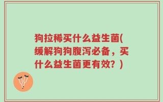 狗拉稀买什么益生菌(缓解狗狗腹泻必备，买什么益生菌更有效？)