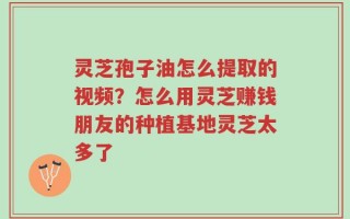灵芝孢子油怎么提取的视频？怎么用灵芝赚钱朋友的种植基地灵芝太多了