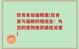 软骨素加猫粮里(软骨素与猫粮的相结合：为您的宠物提供最佳关爱)