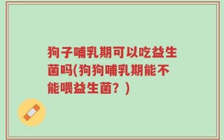 狗子哺乳期可以吃益生菌吗(狗狗哺乳期能不能喂益生菌？)