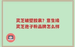 灵芝破壁胶襄？意生缘灵芝孢子粉品牌怎么样