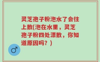 灵芝孢子粉泡水了会往上散(泡在水里，灵芝孢子粉四处漂散，你知道原因吗？)