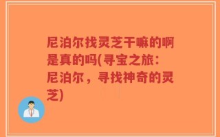 尼泊尔找灵芝干嘛的啊是真的吗(寻宝之旅：尼泊尔，寻找神奇的灵芝)