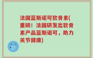 法国蓝斯诺可软骨素(重磅！法国研发出软骨素产品蓝斯诺可，助力关节健康)