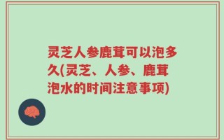 灵芝人参鹿茸可以泡多久(灵芝、人参、鹿茸泡水的时间注意事项)
