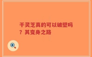 干灵芝真的可以破壁吗？其变身之路