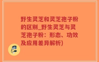野生灵芝和灵芝孢子粉的区别_野生灵芝与灵芝孢子粉：形态、功效及应用差异解析)