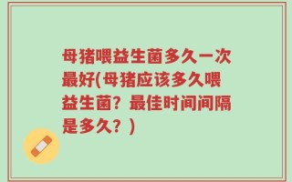 母猪喂益生菌多久一次最好(母猪应该多久喂益生菌？最佳时间间隔是多久？)