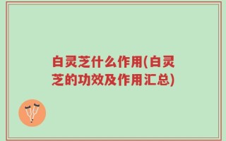 白灵芝什么作用(白灵芝的功效及作用汇总)