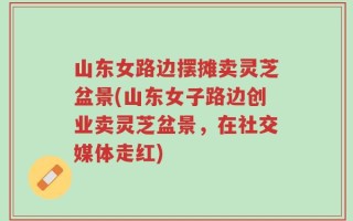 山东女路边摆摊卖灵芝盆景(山东女子路边创业卖灵芝盆景，在社交媒体走红)
