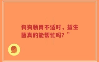 狗狗肠胃不适时，益生菌真的能帮忙吗？”