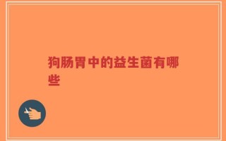 狗肠胃中的益生菌有哪些