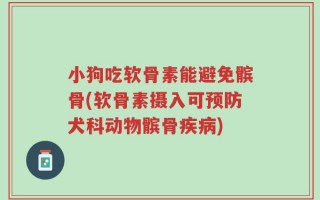 小狗吃软骨素能避免髌骨(软骨素摄入可预防犬科动物髌骨疾病)