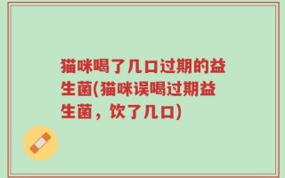 猫咪喝了几口过期的益生菌(猫咪误喝过期益生菌，饮了几口)
