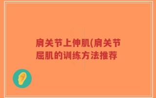 肩关节上伸肌(肩关节屈肌的训练方法推荐