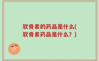 软骨素的药品是什么(软骨素药品是什么？)