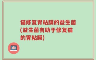 猫修复胃粘膜的益生菌(益生菌有助于修复猫的胃粘膜)